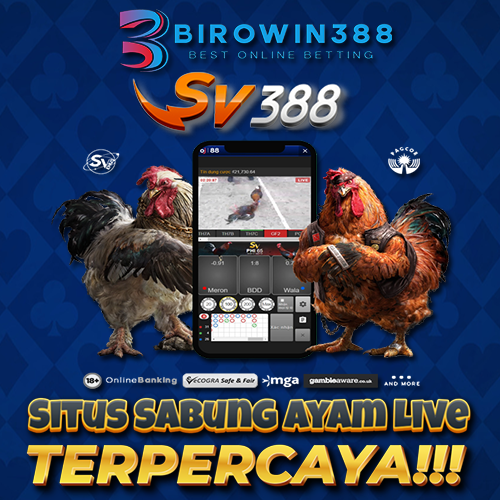 BIROWIN388 ™ Situs Judi Sabung Ayam Online 24 Jam